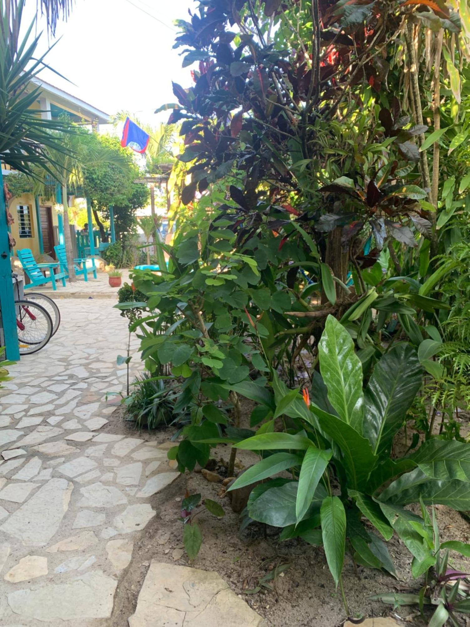 All Seasons Belize Hopkins Buitenkant foto