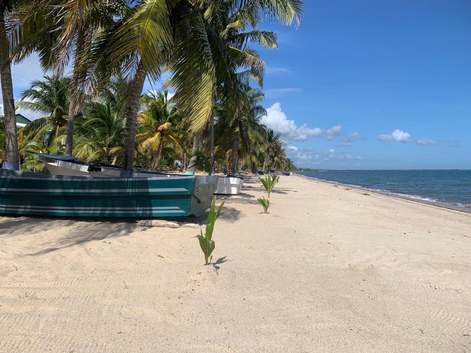 All Seasons Belize Hopkins Buitenkant foto